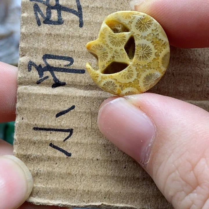 硅化珊瑚（珊瑚玉）颈饰未镶嵌