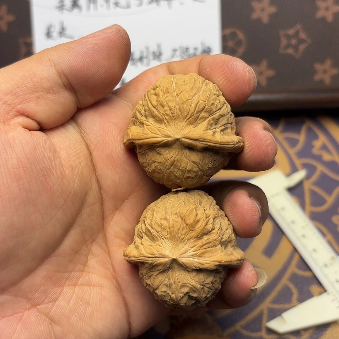 核桃018号 南瓜墩