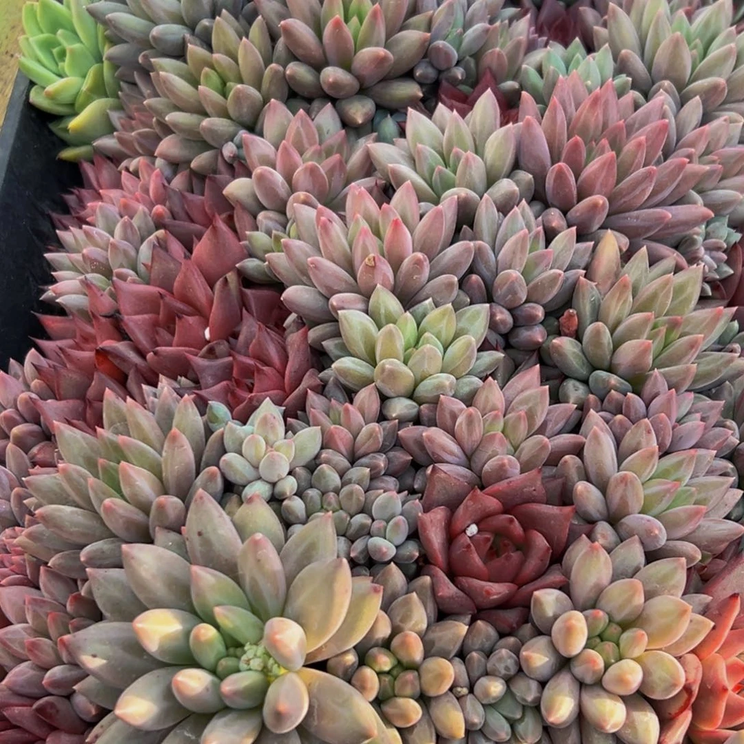 645想知道的地方vv啵啵啵啵啵啵啵