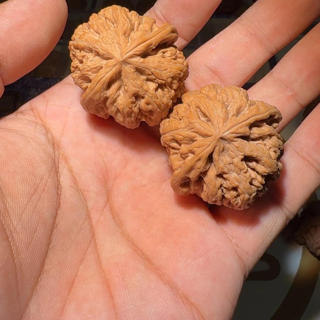 文玩核桃吊坠粗筋