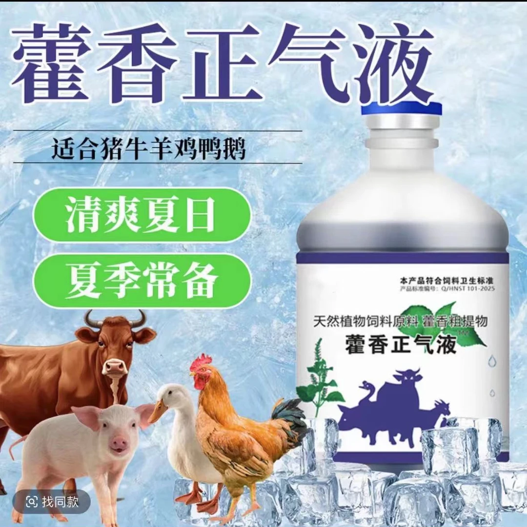 【华顺】藿香正气畜禽通用抗应激防中暑夏日冰爽VC兽用口服液中华