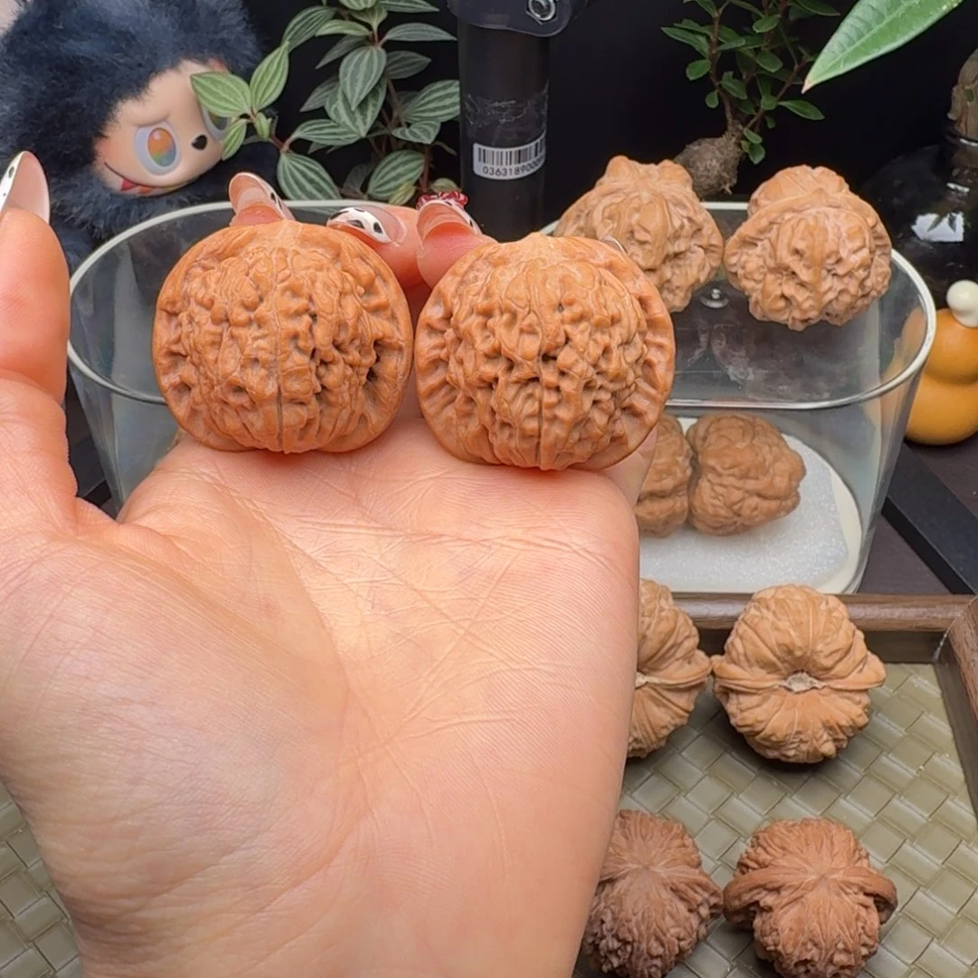 把件龙脊菩提全品原树莲花39