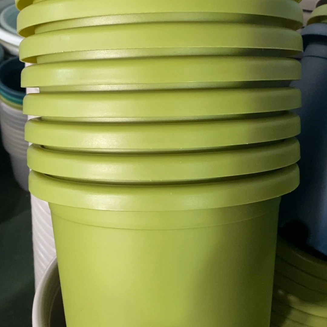 树脂特价4#无拖果绿8个