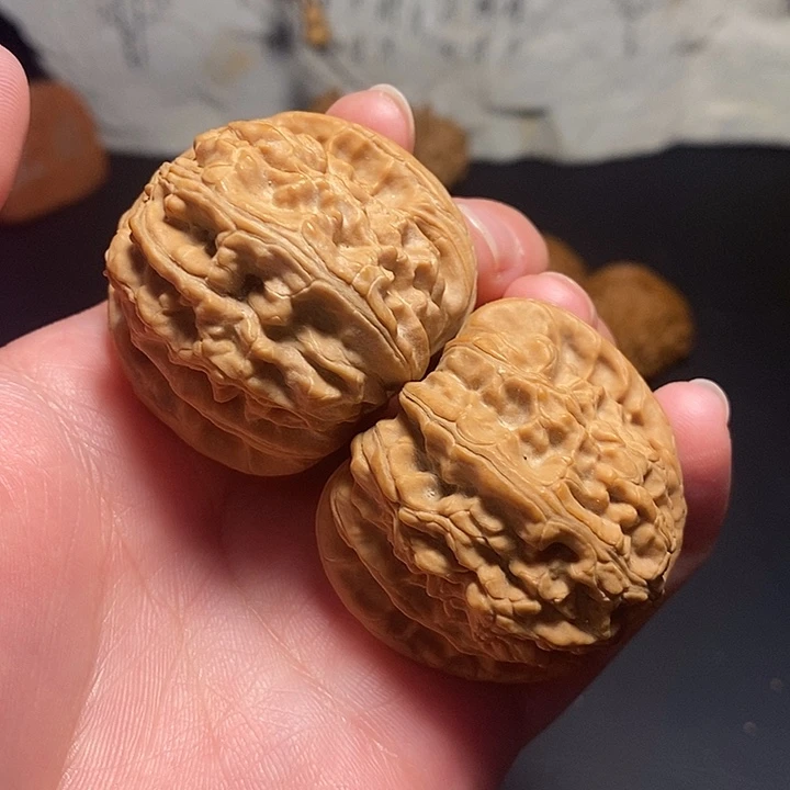 文玩核桃吊坠42白狮子全品