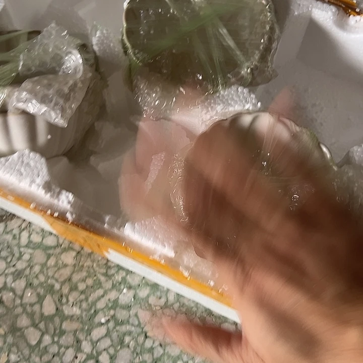 瓷片默认瑕疵商品贝壳米