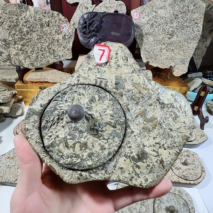 山***依燕子石砚台三叶虫