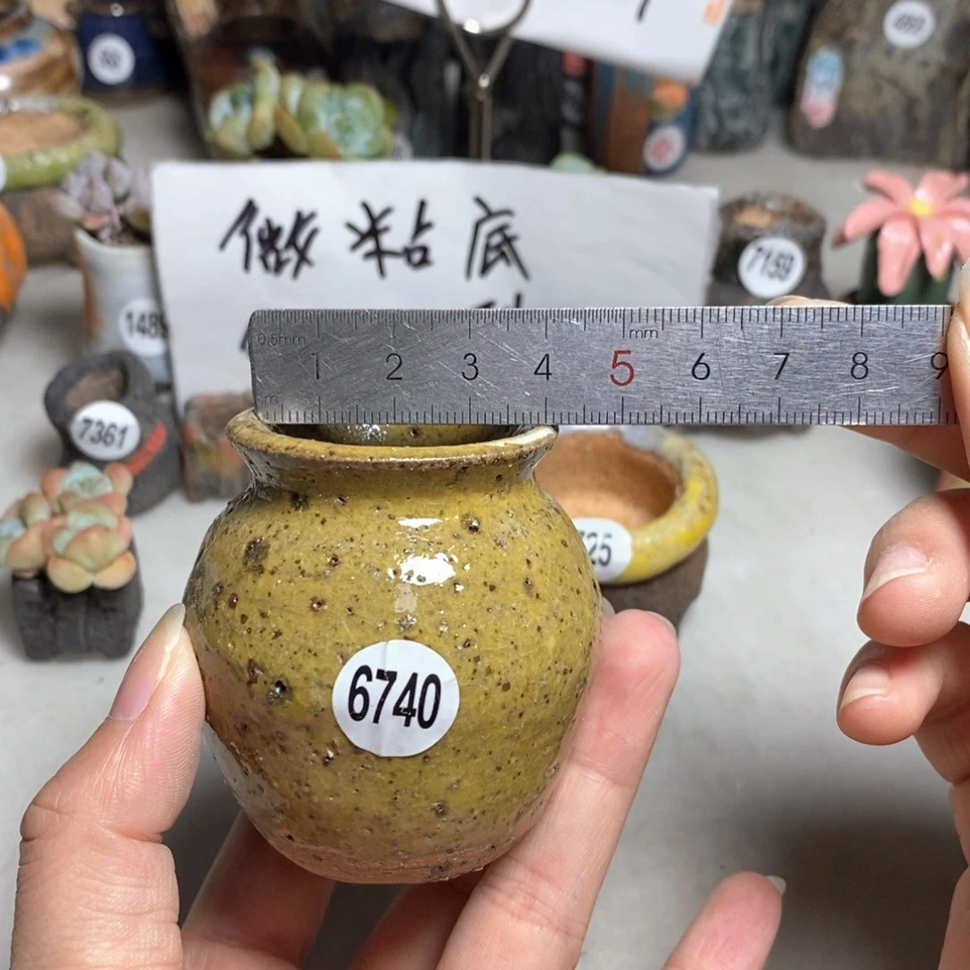 拍5送一个小礼物