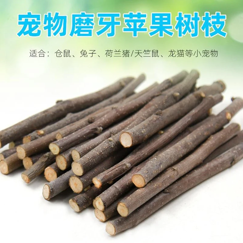1仓鼠兔子磨牙棒石金丝熊荷兰猪龙猫松鼠用品兔零食苹果枝自封袋