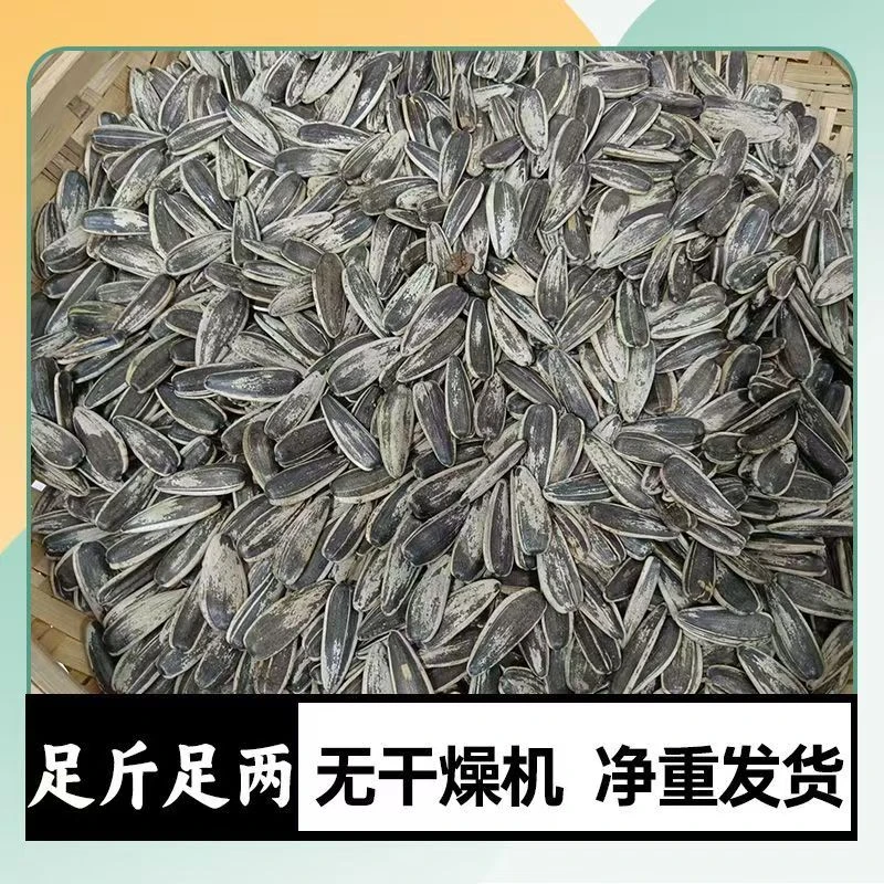 【买1斤送1斤】原味熟瓜子/花脸瓜子/黑瓜子