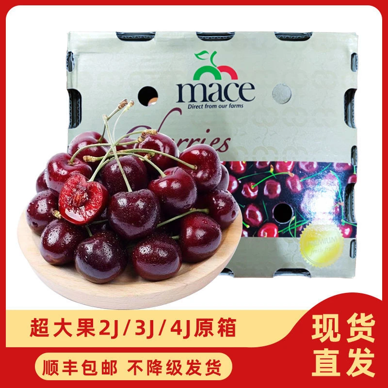 12月-7日【原箱5斤】智利空运进口桑提娜车厘子应季水果脆甜2J-4J大樱桃 YZ（内附果径卡）桑提娜智利共和国