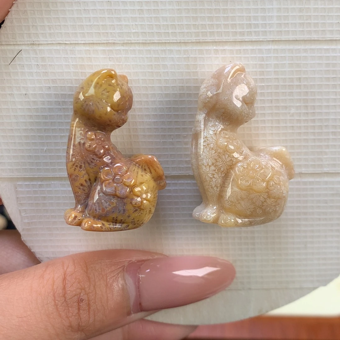 【闪购商品】颈饰未镶嵌硅化珊瑚（珊瑚玉）我***肉