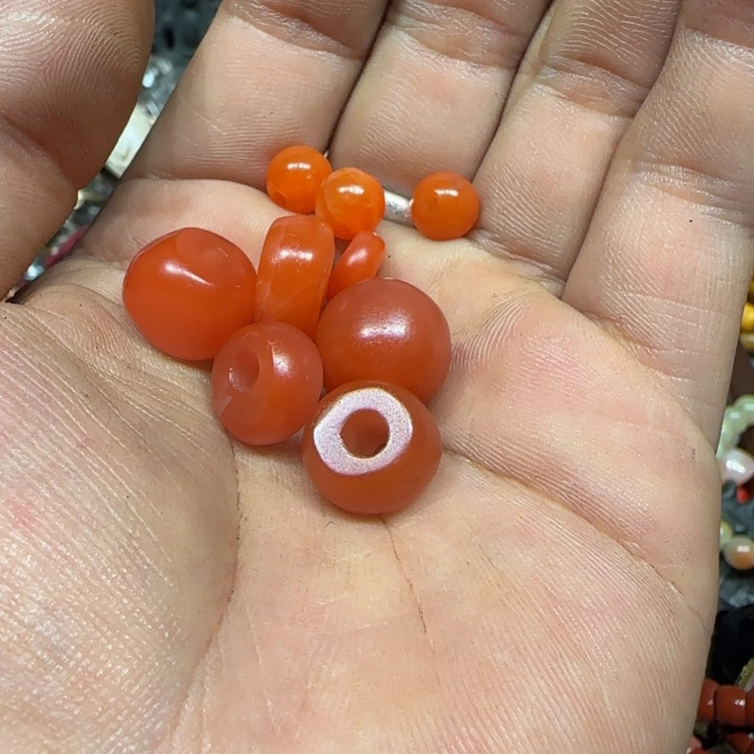菩***树老老老老老老老老老