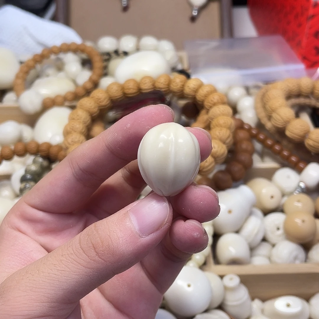 为***条吊坠菩提根/象牙果