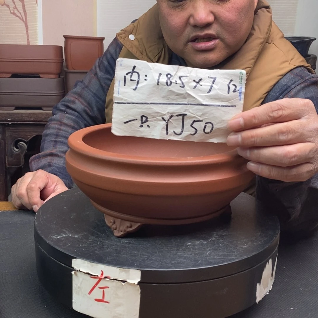 紫砂货号一只YJ50