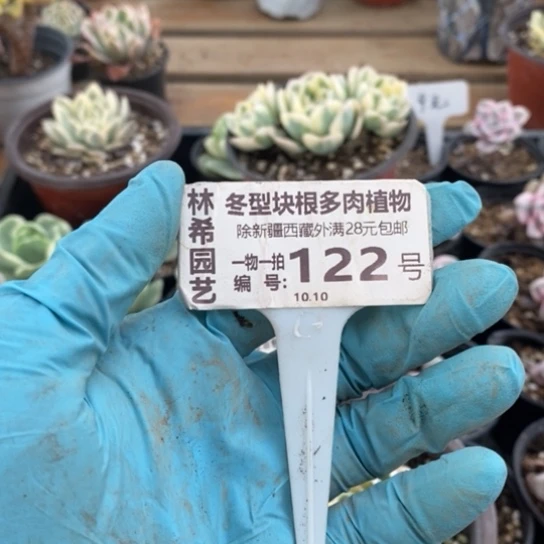 ?****?122一一一一一一一一一