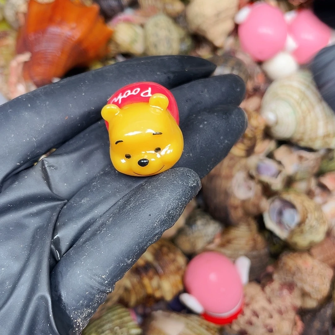 莓****寄居蟹寄居蟹1.6口4566