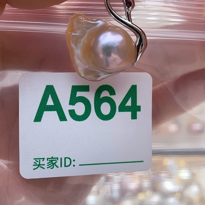 天然珍珠。  漏 漏 漏未镶嵌淡水珍珠