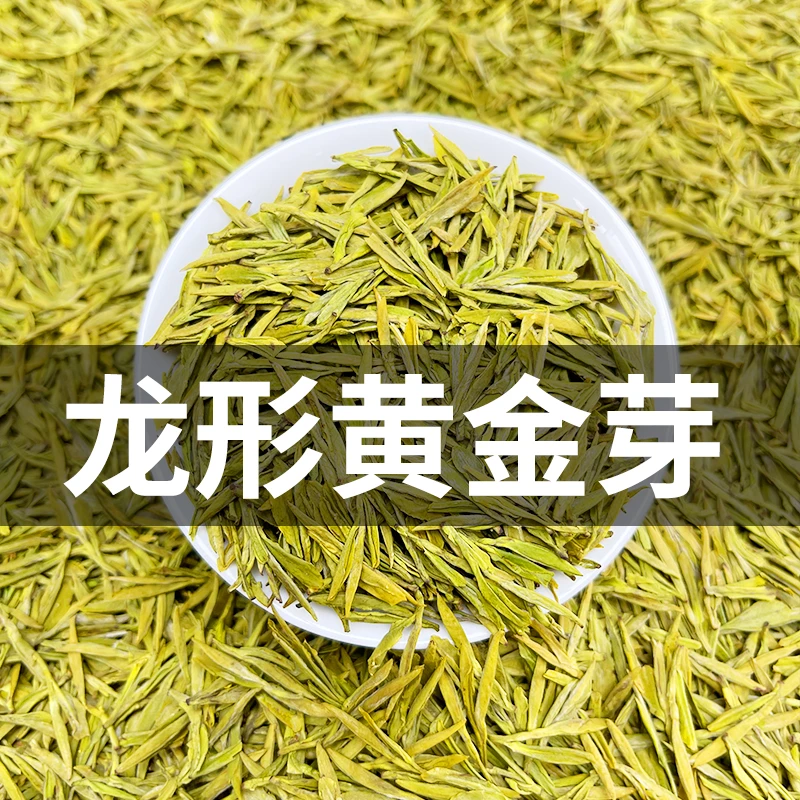 龙型黄金芽2025年新茶明前安吉高山绿茶年底青仓S659 250g/500g