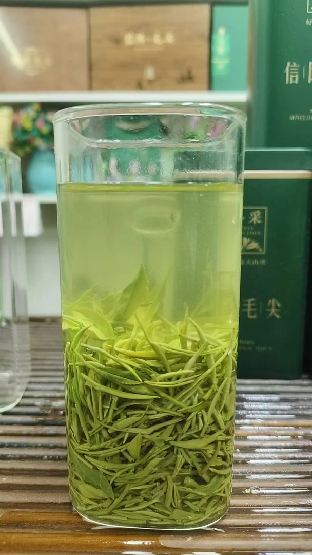 2025年信阳毛尖绿茶（A8）新茶雨前中小芽栗香耐泡醇厚500g250g