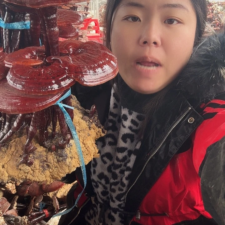 无花朵海**烂灵芝花开了吗