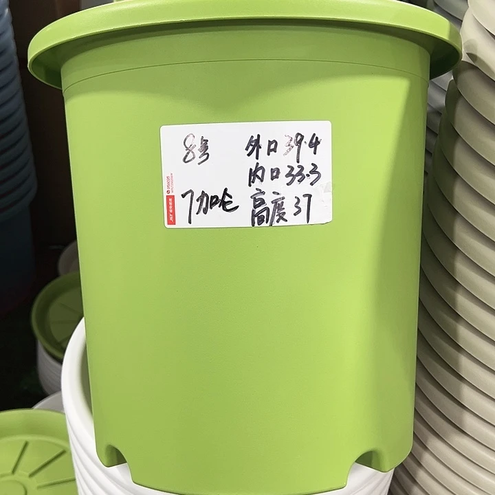 特价8号四季口39.4高37果绿无托3只