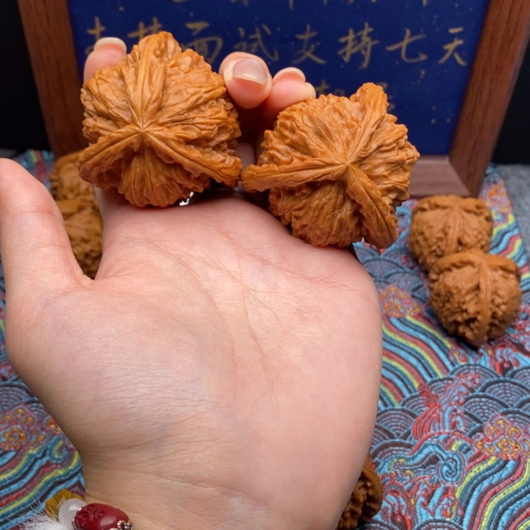 【闪购商品】孟*白狮