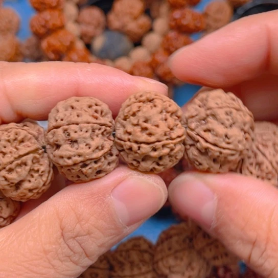 金刚菩提手串v078/22/6