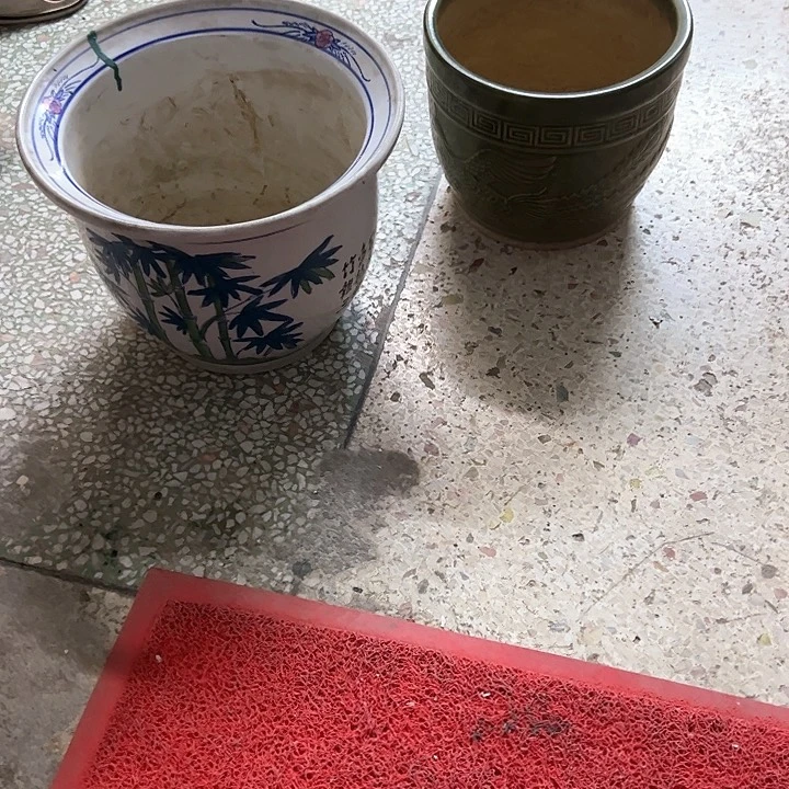 红陶自****>。。。。。。。。。。。