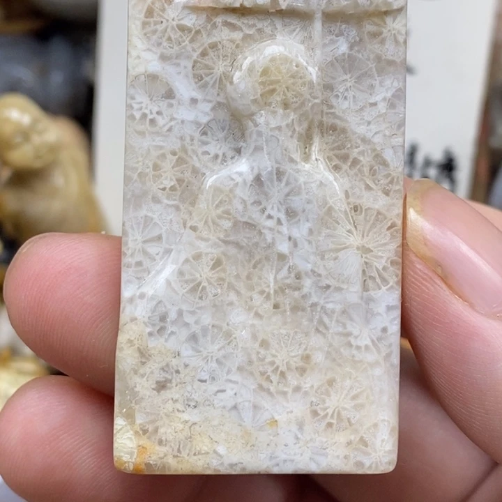 硅化珊瑚（珊瑚玉）未镶嵌颈饰