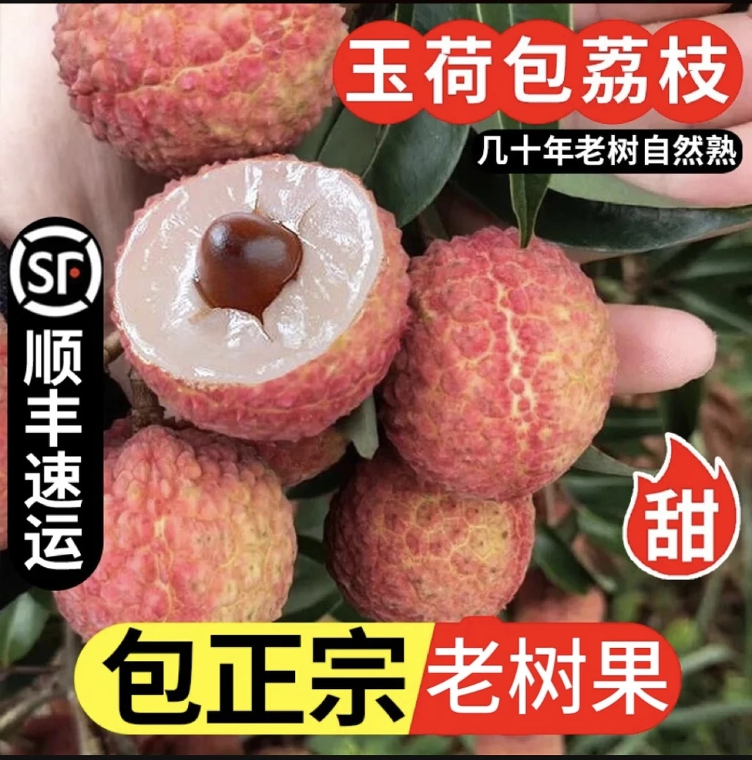 【双肩玉荷包+顺丰冷链】玉荷包荔枝新鲜现摘现发老树