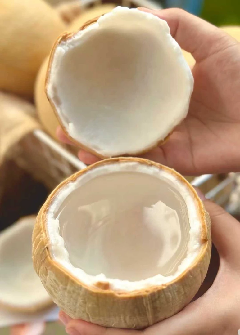 【张果佬甑选】泰国产区牛奶椰皇每个精选果4/6个装泰国椰皇