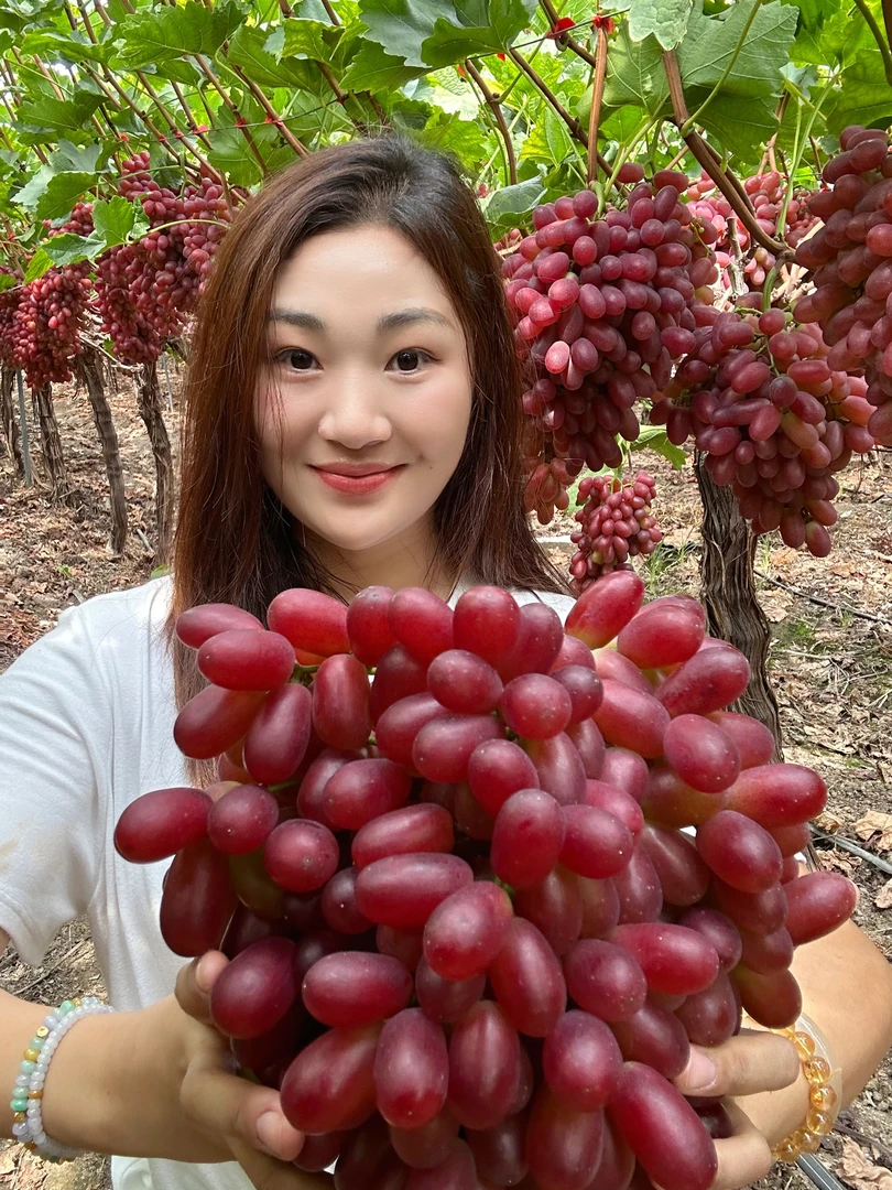（顺丰）四川大凉山无籽红提克伦生葡萄新鲜现摘脆甜多汁应季水果