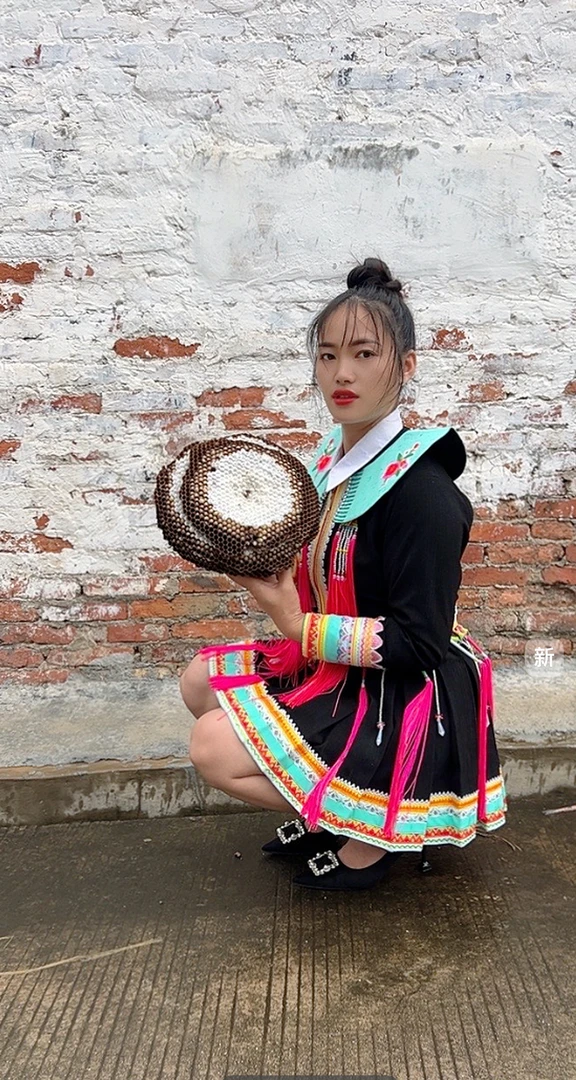 新鲜野生活体带巢马蜂蛹多种蜂类鲜活蜂虫售卖