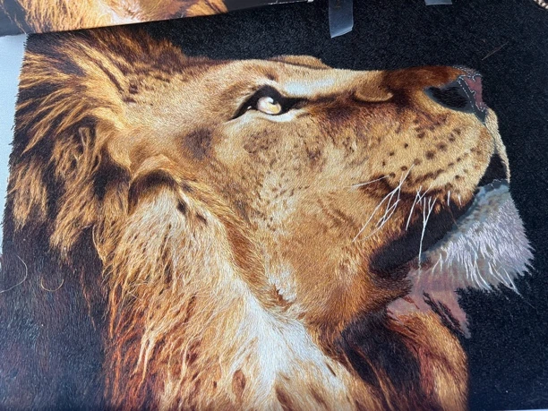 雄狮套件DIY88支颜色丝线