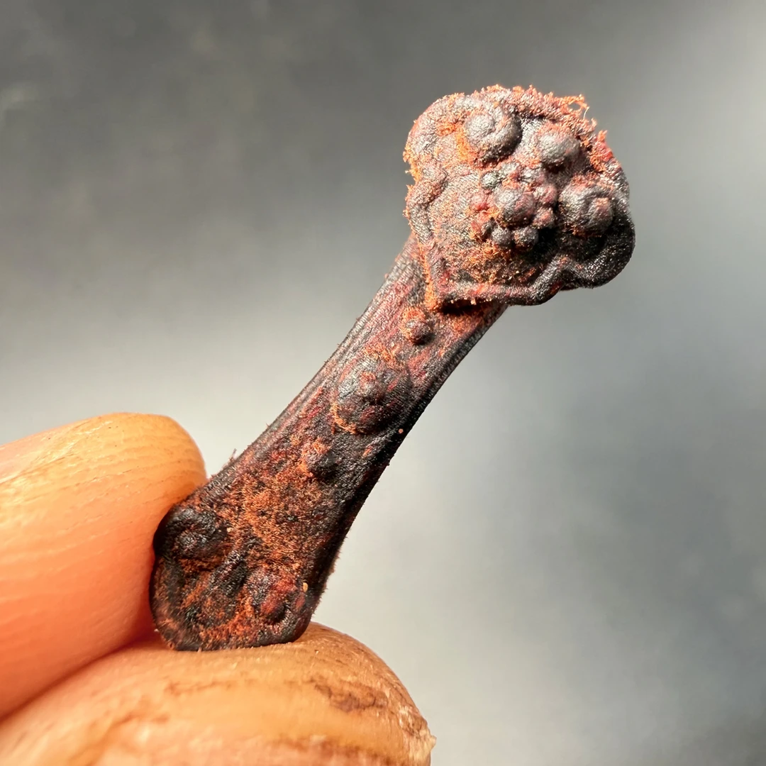 【上新】【雕刻】小叶降真香  如意 精工雕刻2.2cm