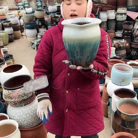 口20高23瑕疵盆子 l