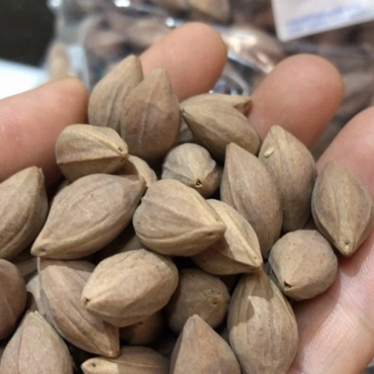 吊坠橄榄核?**✨橄榄核雕刻