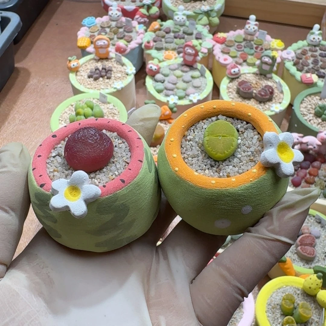 星***月1223-016连盆带花