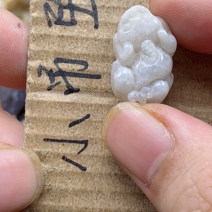 颈饰未镶嵌硅化珊瑚（珊瑚玉）S**y