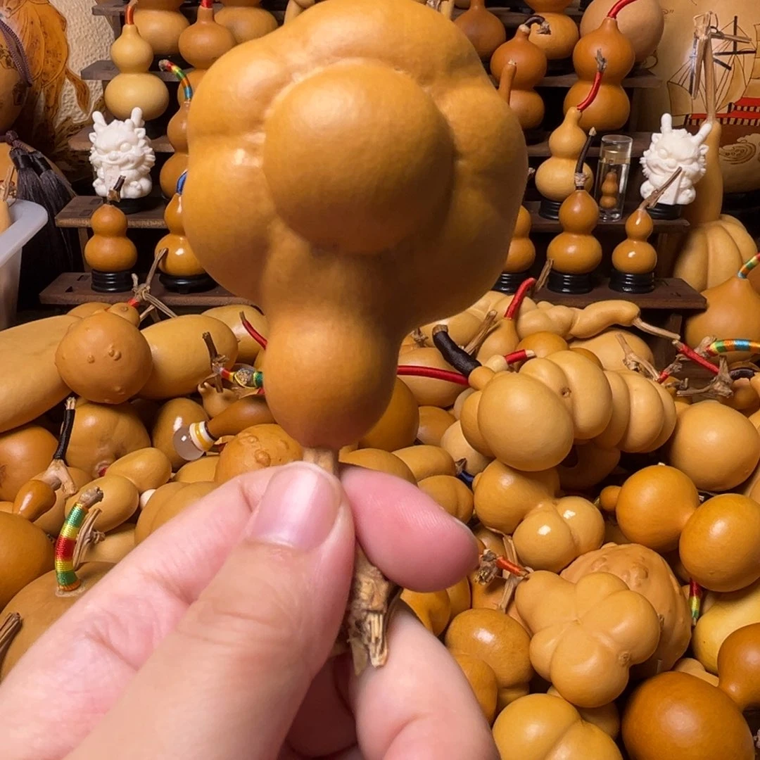 一****狗葫芦头的做法是用来做的嘛