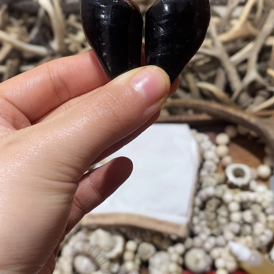 非金属鹿蹄鹿蹄鹿蹄