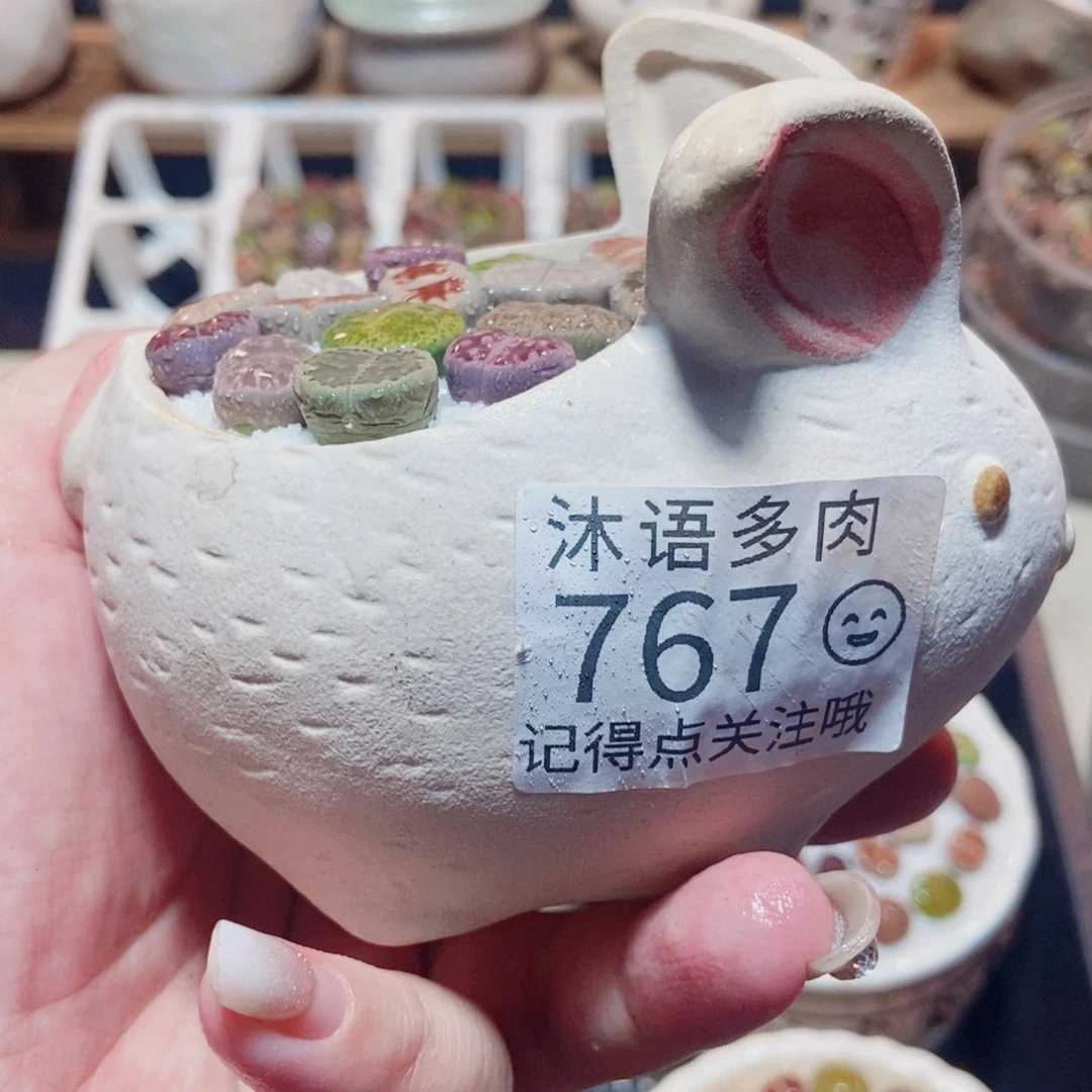 一物一拍 所见即所得767