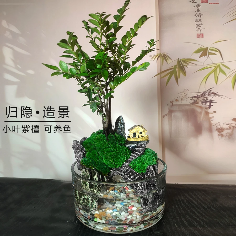 紫檀山水造景-15圆形鱼缸桌面微景观禅意风山水盆景