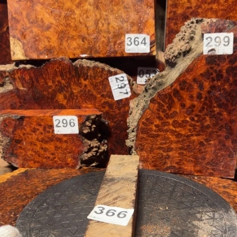 大果紫檀（缅甸花梨）