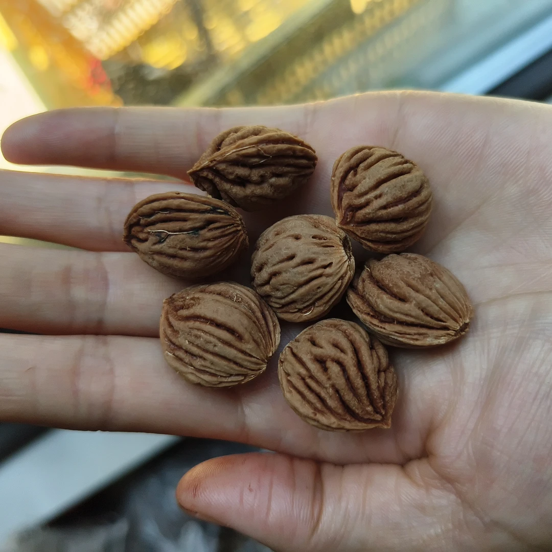 竖纹碧桃核精品文玩桃核男士女士手串