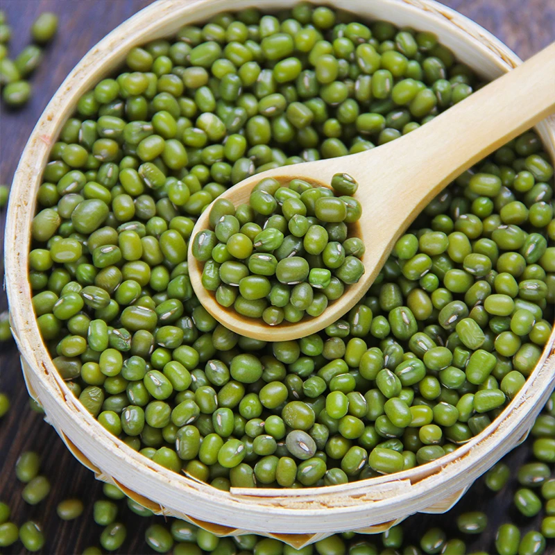 【炊事班小何专属】农家新绿豆新鲜滋补品绿豆汤易煮皮薄大绿豆养生