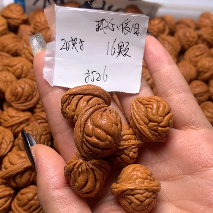 野生桃核霸王龙20+