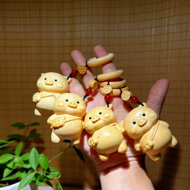 龙血金丝竹～小猪