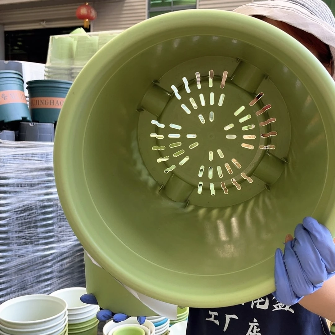 四季盆5#果绿色6个无托