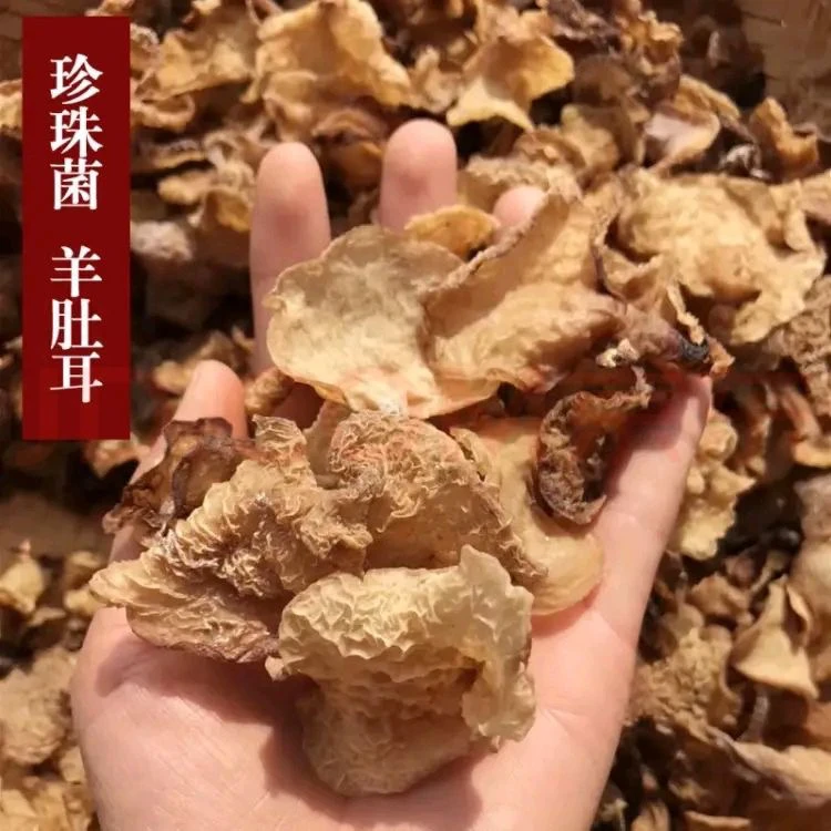 云南高山高海拔干羊肚木耳大片